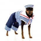 Матрос Dog